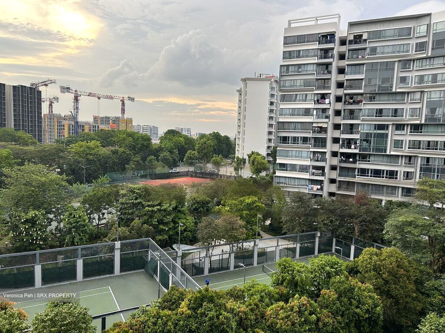 d'Nest (D18), Condominium #472849871